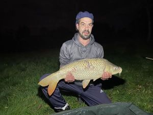 Common Carp