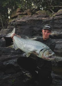 Payara