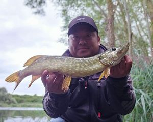 Northern Pike