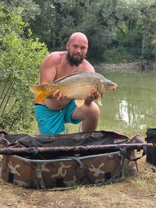 Mirror Carp