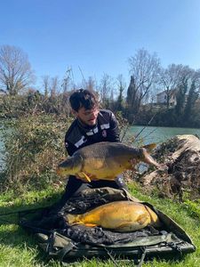 Mirror Carp