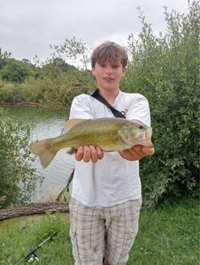 Largemouth Bass