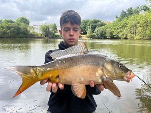 Mirror Carp