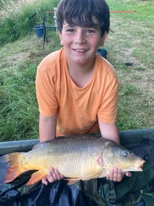 Mirror Carp