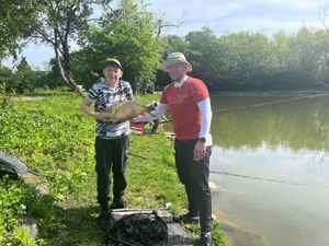 Common Carp