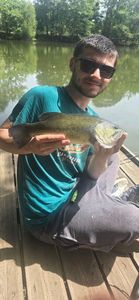 Largemouth Bass