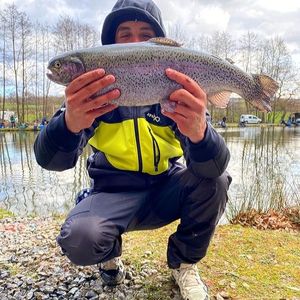 Rainbow Trout