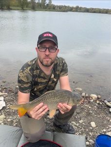 Crucian Carp