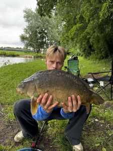 Mirror Carp