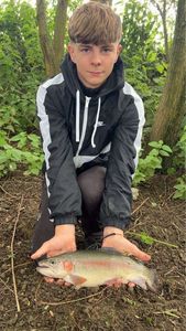 Rainbow Trout