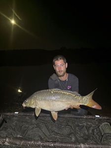 Mirror Carp