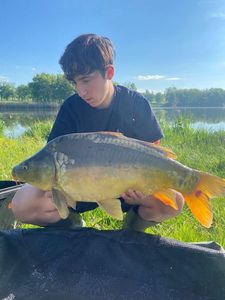 Mirror Carp