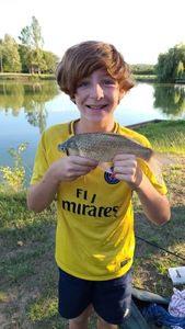 Common Bream