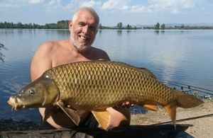 Common Carp