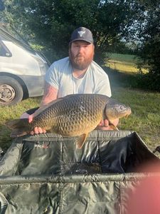 Common Carp