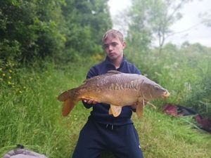 Mirror Carp