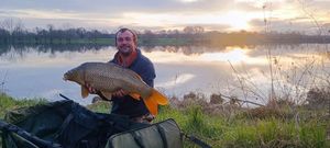 Common Carp