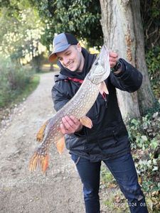 Northern Pike