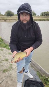 Tench
