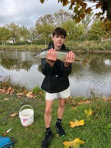 Northern Pike