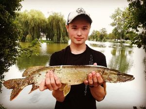 Northern Pike
