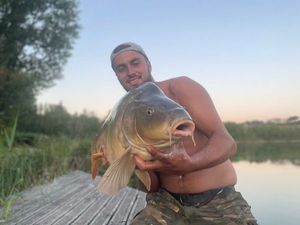 Mirror Carp