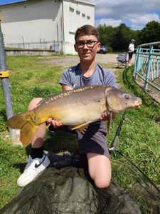Mirror Carp