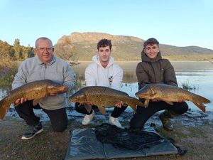Common Carp