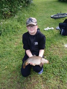 Common Carp