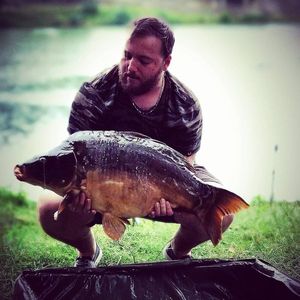 Mirror Carp