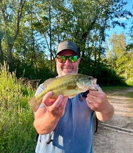 Largemouth Bass