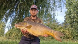 Mirror Carp