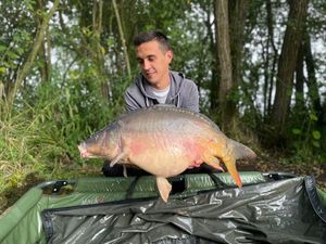 Mirror Carp