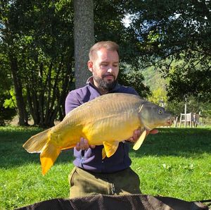 Mirror Carp