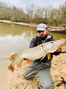 Northern Pike