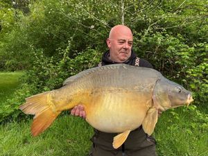 Mirror Carp