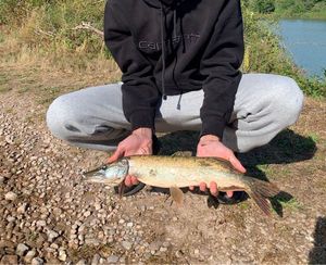 Northern Pike