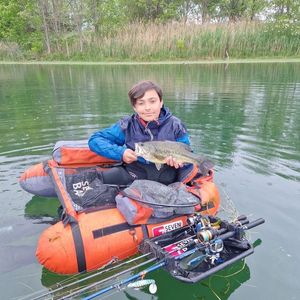 Largemouth Bass