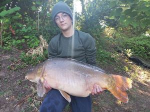 Mirror Carp