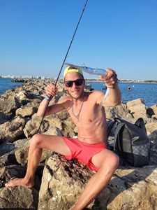 Garfish