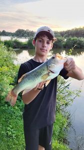 Smallmouth Bass