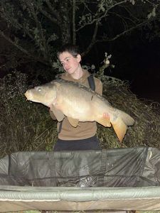 Mirror Carp