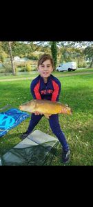 Mirror Carp