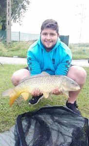 Common Carp