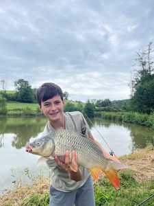 Common Carp