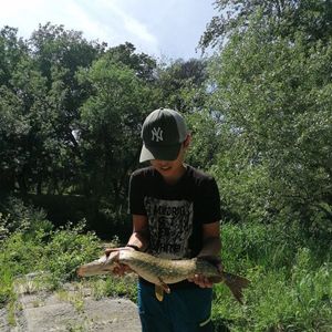 Northern Pike
