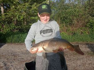 Common Carp