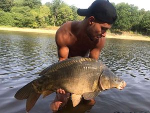 Mirror Carp