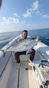 Greater Amberjack