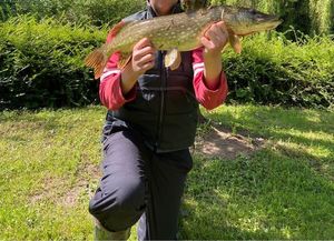 Northern Pike